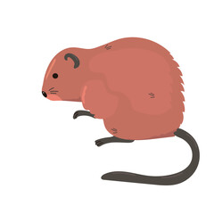 Muskrat icon clipart avatar logotype isolated illustration