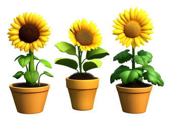 Obraz premium Three cheerful sunflowers bloom brightly in terracotta pots a vibrant summer scene. AI Generated