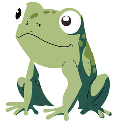 Flat cartoon frog with green spotted skin and white belly on a teal background. Ideal for nature-themed projects, educational materials, amphibian illustrations, or wildlife character designs.