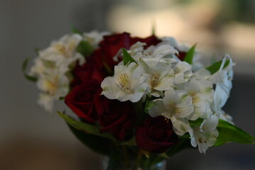 The blooming of the earth is always by your side