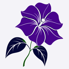 pink flower isolated on white