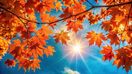 Vibrant orange and red maple leaves against a blue sky