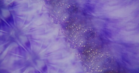 Dust purple. Defocused cosmetic texture. Defocused blinking shining gleaming structure turning on blurred abstract bokeh light modern background.
