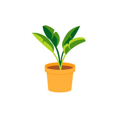 Classroom Object 1 Plant in Orange Pot