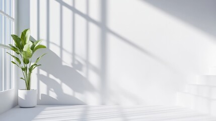 Plant in White Pot Minimalist Interior Design Bright Sunlight Wide Angle Shot Clean Lines Peaceful Atmosphere Home Decor Bright White Tones Ideal for Real Estate Ads