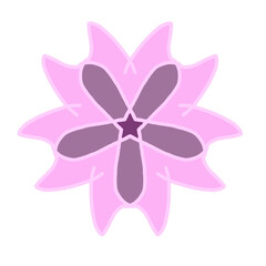 pink butterfly on white background