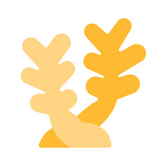 Obraz premium corals