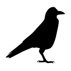 Silhouette of Spooky Halloween Crow. Flat Vector Illustration.