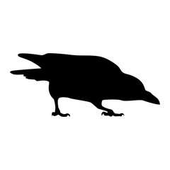 Silhouette of Spooky Halloween Crow. Flat Vector Illustration.