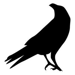 Silhouette of Spooky Halloween Crow. Flat Vector Illustration.