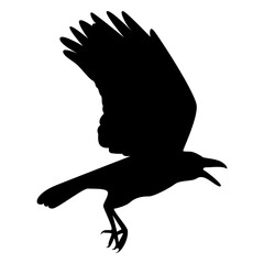 Silhouette of Spooky Halloween Crow. Flat Vector Illustration.