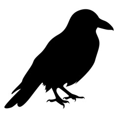 Silhouette of Spooky Halloween Crow. Flat Vector Illustration.