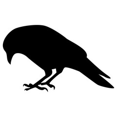 Silhouette of Spooky Halloween Crow. Flat Vector Illustration.