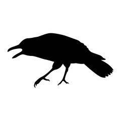 Silhouette of Spooky Halloween Crow. Flat Vector Illustration.