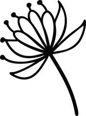 Purple Allium Bloom in Full Detail – Botanical Illustration

