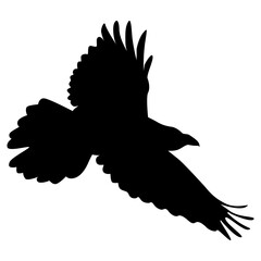 Silhouette of Spooky Halloween Crow. Flat Vector Illustration.