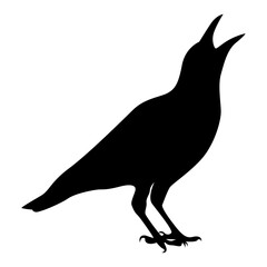 Silhouette of Spooky Halloween Crow. Flat Vector Illustration.