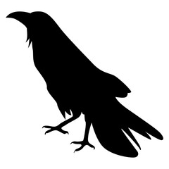 Silhouette of Spooky Halloween Crow. Flat Vector Illustration.