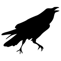 Silhouette of Spooky Halloween Crow. Flat Vector Illustration.