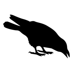 Fototapeta premium Silhouette of Spooky Halloween Crow. Flat Vector Illustration.