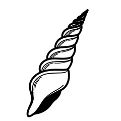 Sea shell cartoon line art