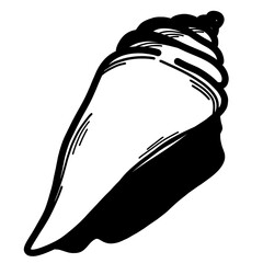 Sea shell cartoon line art