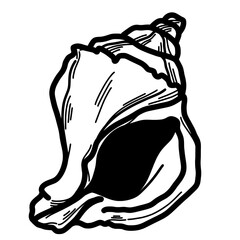 Sea shell cartoon line art