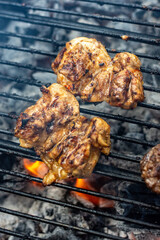 grilled meat on the grill