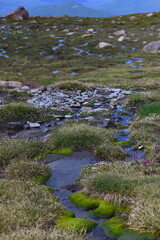 A spring morning in the mountains.