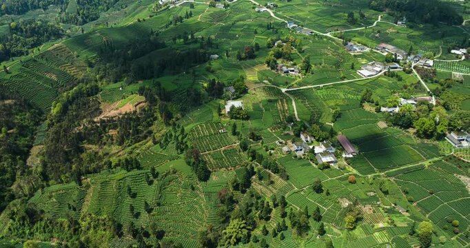 aerial timelapse of shadow moving on the green tea field at Sichuan Yaan sunny day