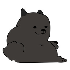 animal, pet, dog, happy, puppy, domestic, canine, cute, isolated, adorable, portrait, doggy, background, sitting, white, friendly, studio, breed, pedigree, looking, cheerful, friend, mammal, vector, f