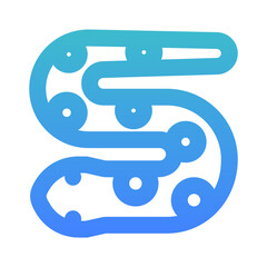 sea snake
