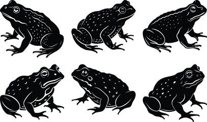 Fototapeta premium Toad Silhouette vector
