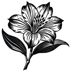 Elegant Alstroemeria Flower Logo for Branding and Design