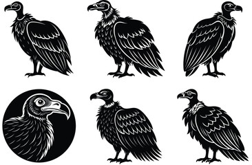 vulture vector
