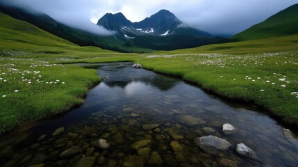 Fototapeta premium Mountain Meadow Stream