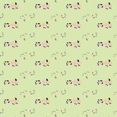 Yellow daisy flower with petals isolated on background