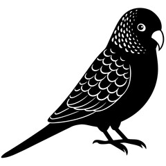 Budgerigar silhouette vector isolated on white background
