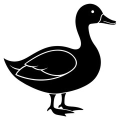Mallard silhouette vector isolated on white background