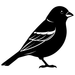 Finch silhouette vector isolated on white background