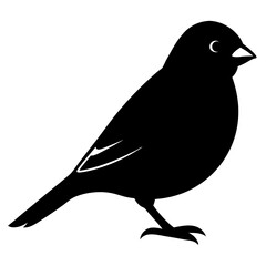 Finch silhouette vector isolated on white background