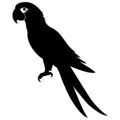 Macaw silhouette vector isolated on white background