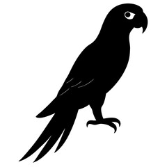 Macaw silhouette vector isolated on white background