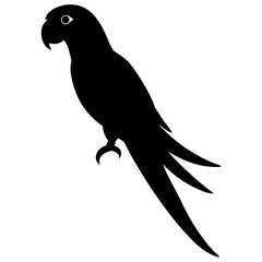 Macaw silhouette vector isolated on white background