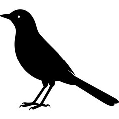 Nightingale silhouette vector isolated on white background