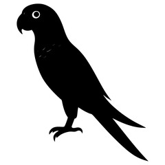 Parrot silhouette vector isolated on white background