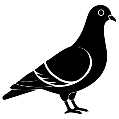 Pigeon silhouette vector isolated on white background