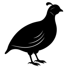 Quail silhouette vector isolated on white background