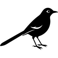 Wagtail silhouette vector isolated on white background