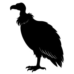 Vulture silhouette vector isolated on white background